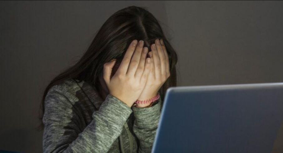 Promulgaron la Ley Olimpia que incorpora la figura de violencia digital | Legislativas