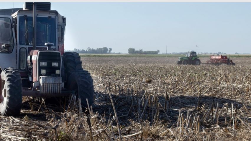 Por la sequía, cayó 50% la liquidación de divisas de la agroindustria en lo que va del año (1) | Nacionales