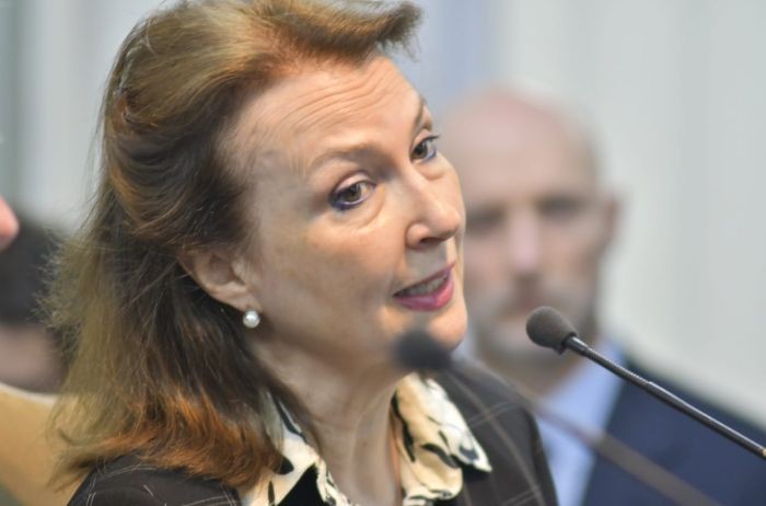 Diana Mondino comparó el matrimonio igualitario con "tener piojos" | Nacionales