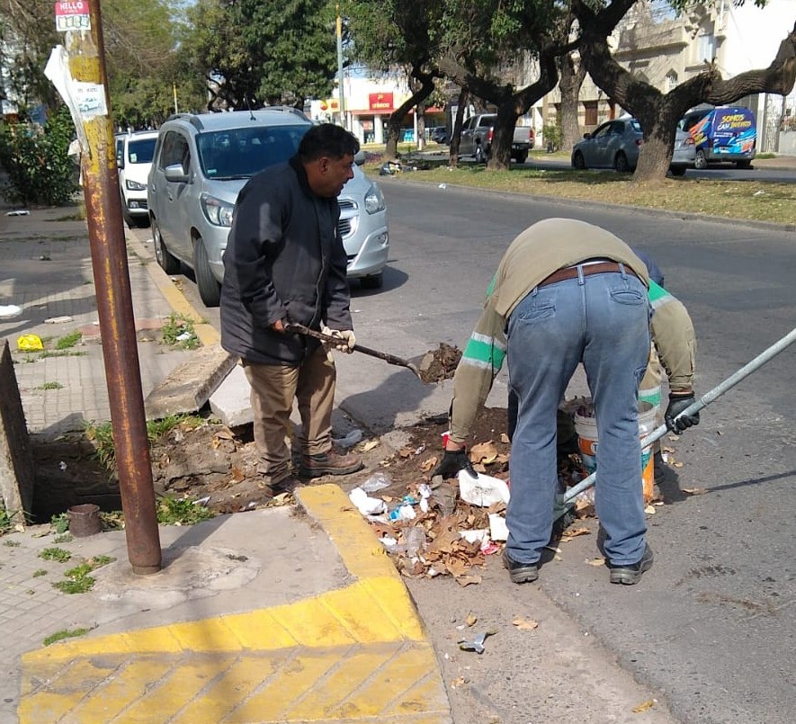 Trabajos de fumigación, bacheo, iluminación y drenaje urbano previstos para este viernes 10 de noviembre | Información General