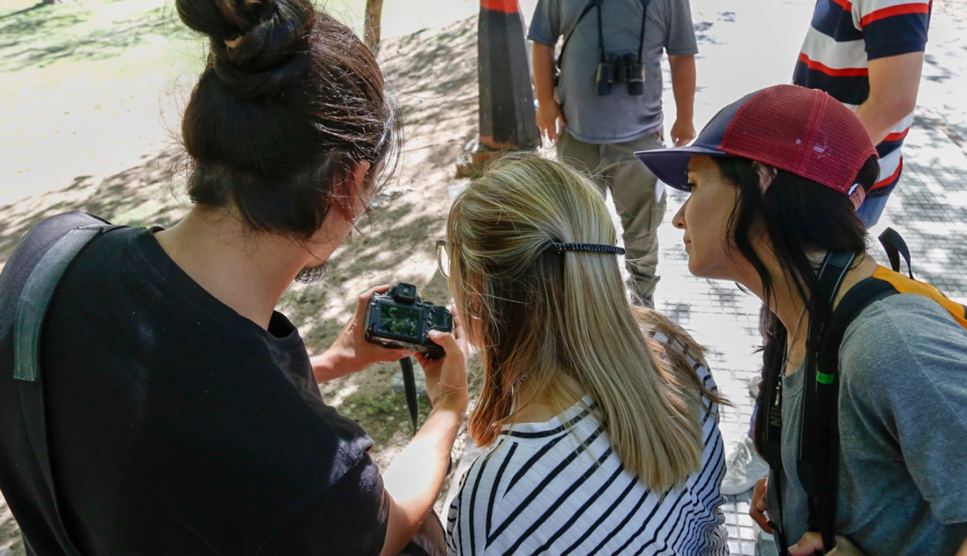 Se realizó el último Safari de Primavera | Noticias