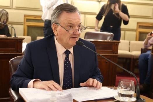 Michlig: “Era necesario que me quede en el Senado para asegurar la gobernabilidad de Pullaro” | Noticias