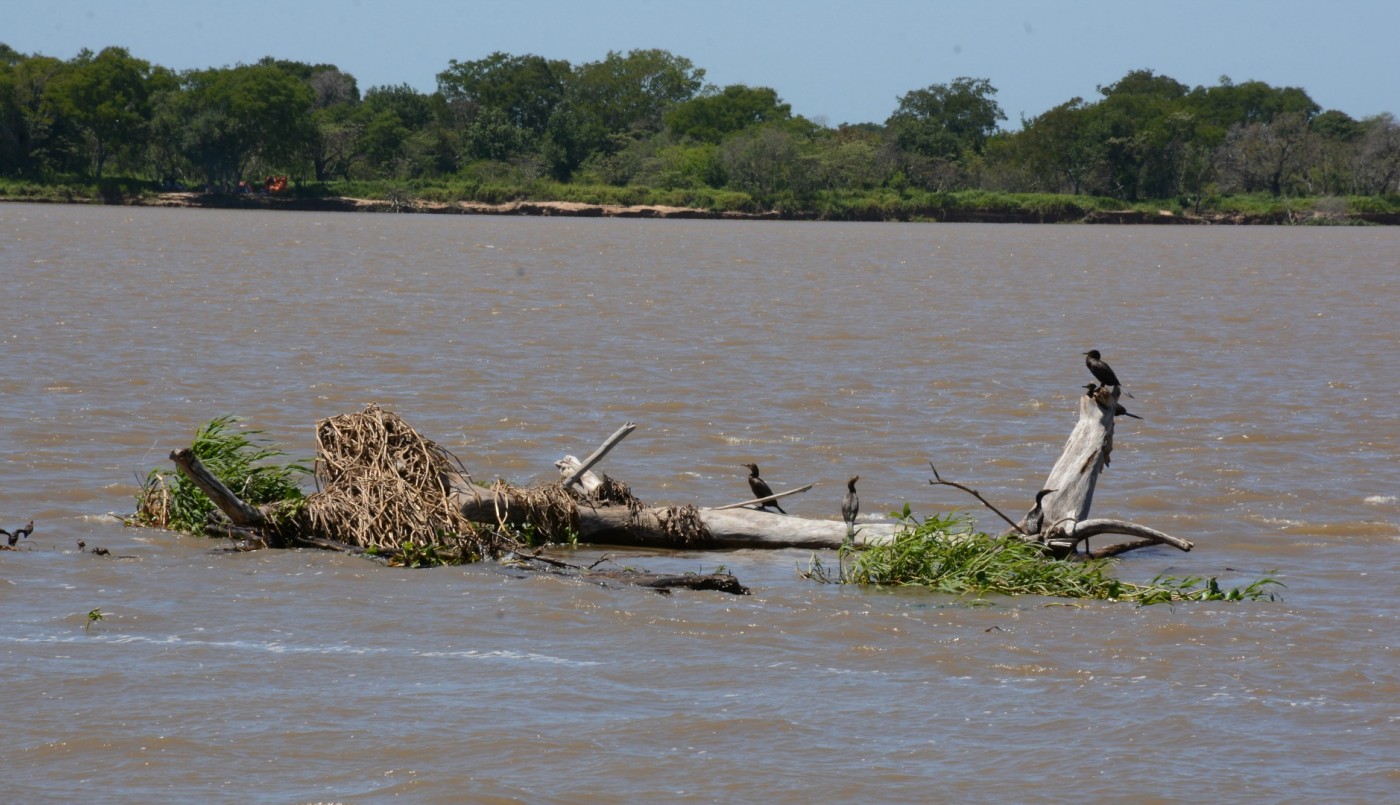 Santa Fe presentó el Inventario Provincial de Humedales | Noticias