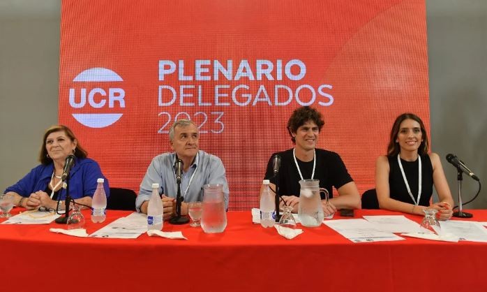 Martín Lousteau fue elegido como presidente del Comité Nacional de la UCR | Nacionales