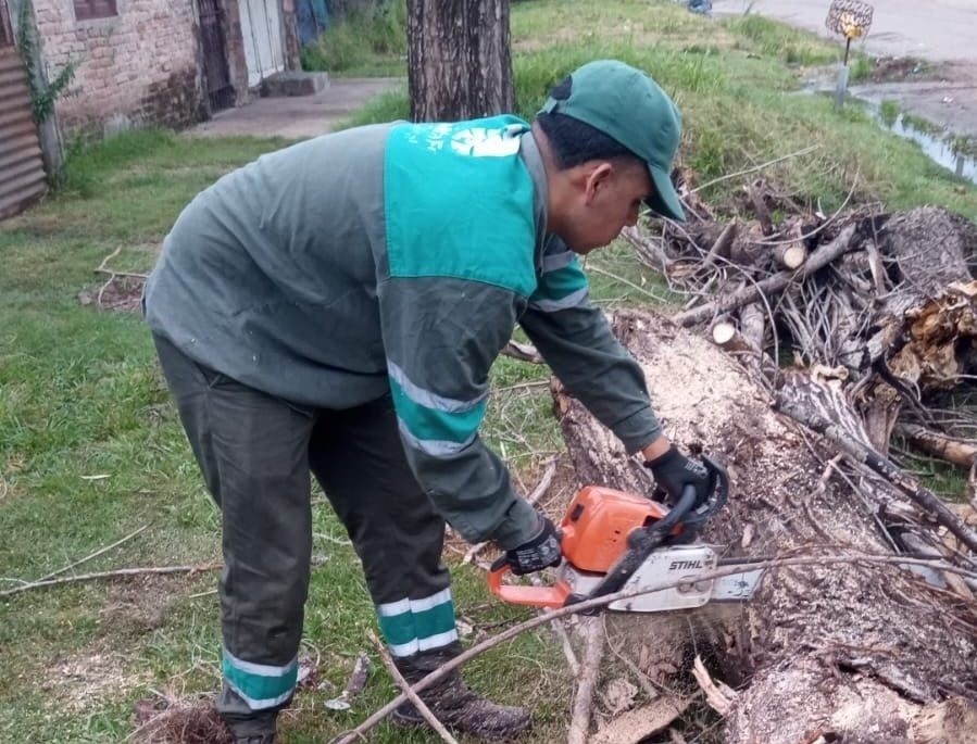 Servicios municipales previstos para este lunes 18 de diciembre | Información General