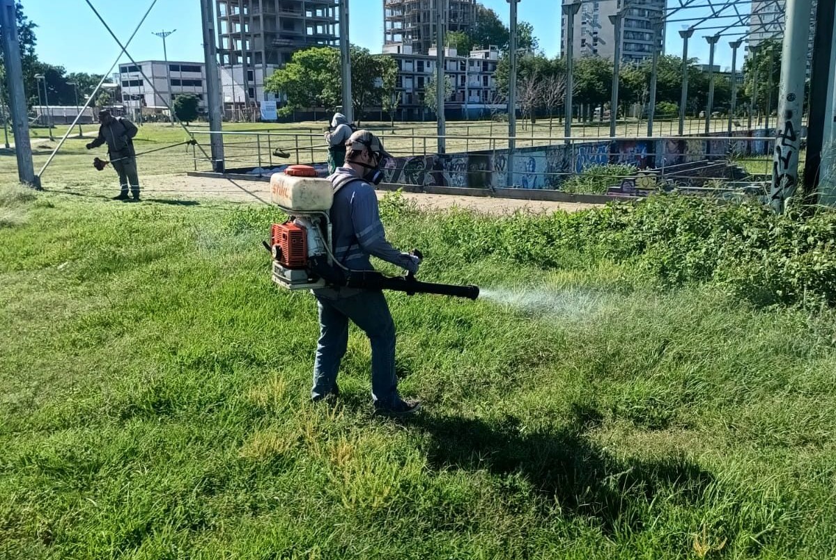 Servicios municipales previstos para este martes 19 de diciembre | Información General