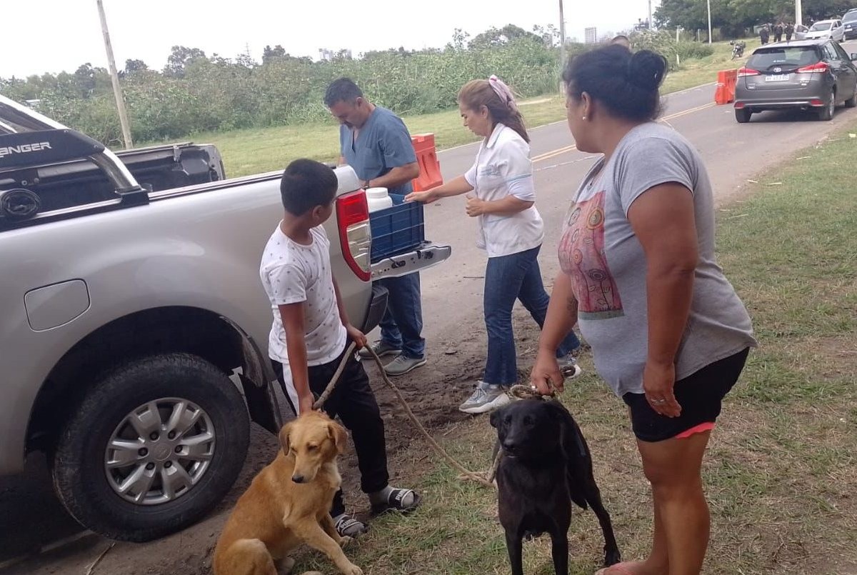 Servicios municipales previstos para este miércoles 20 de diciembre | Información General