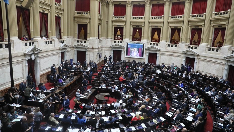 Problemas para el oficialismo en el Congreso: la oposición tendría los votos para voltear el DNU | Nacionales