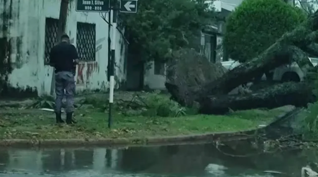 Trágico temporal en Formosa: cayó un árbol sobre una casa y murió un bebé | Información General