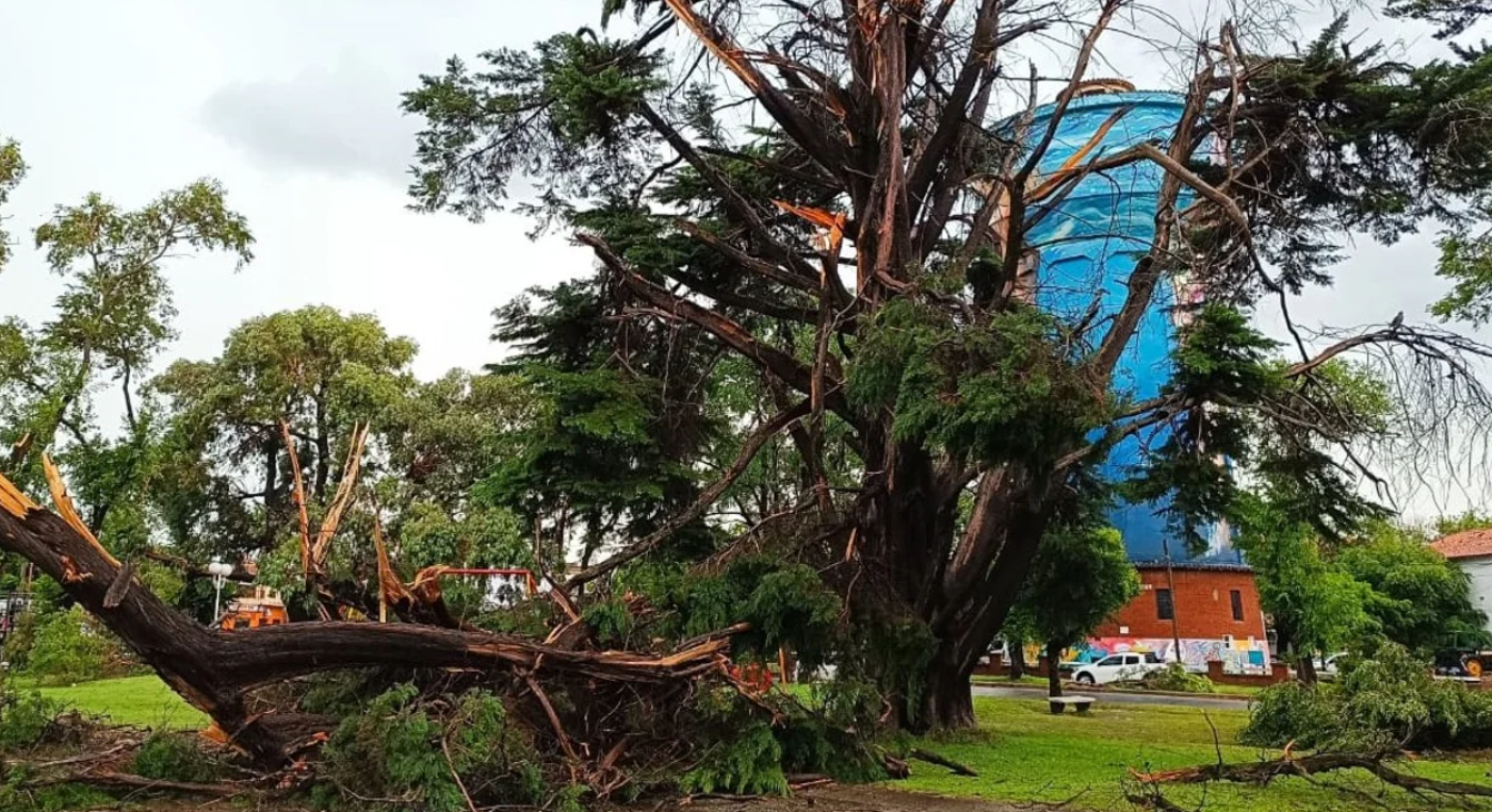 Temporal trágico en Miramar: le robaron a una de las víctimas cuando estaba tirada e inconsciente | Noticias