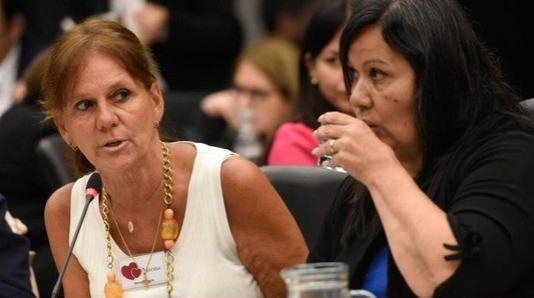 La mamá de Chano "celebró" la propuesta de reforma de la Ley de Salud Mental | Información General