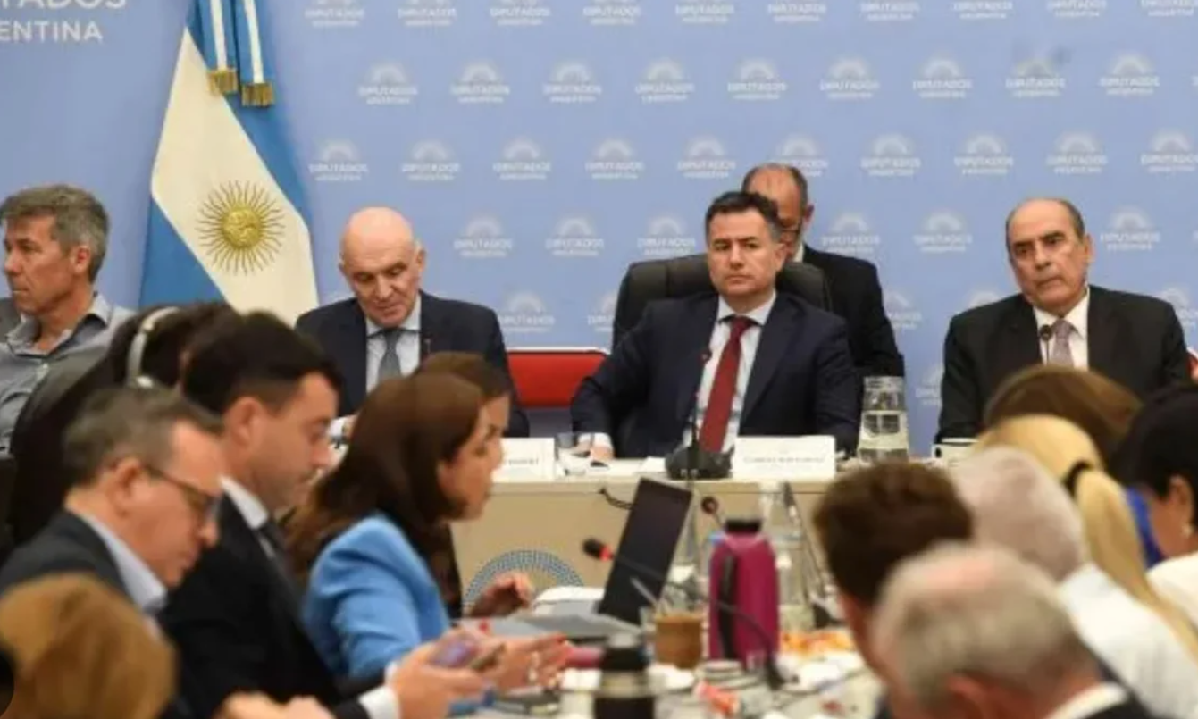 El oficialismo espera un guiño de la Rosada a la oposición "amigable" para salvar la ley ómnibus | Nacionales