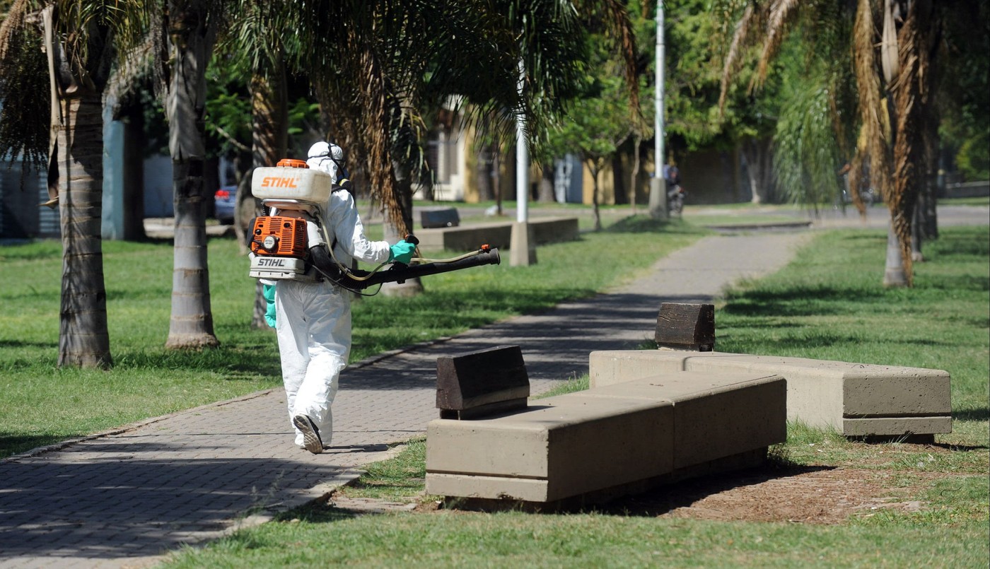 Servicios municipales previstos para esta semana de enero | Información General