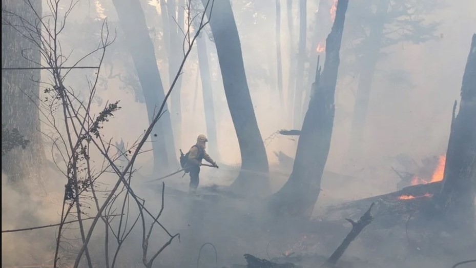 Buscan a los responsables del incendio en Bariloche: apuntan a un fogón que no fue apagado | Nacionales