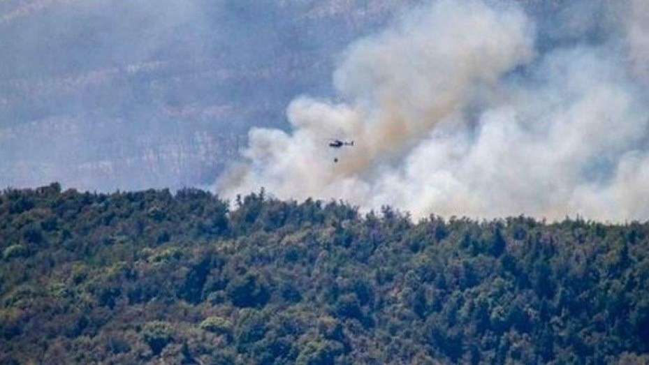 Chubut le pidió colaboración al FBI para investigar los incendios en el parque nacional Los Alerces | Nacionales