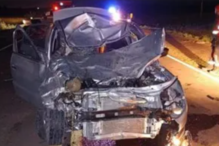 Chocaron contra un búfalo en la ruta en Entre Ríos | Información General