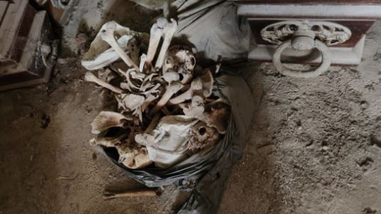 Denuncian el hallazgo de 2.000 bolsas con restos humanos en el cementerio de La Plata | Información General
