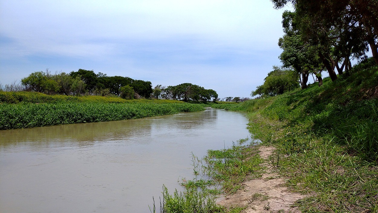 Investigan el hallazgo de un cadáver en descomposición en la costa de Rincón | Noticias
