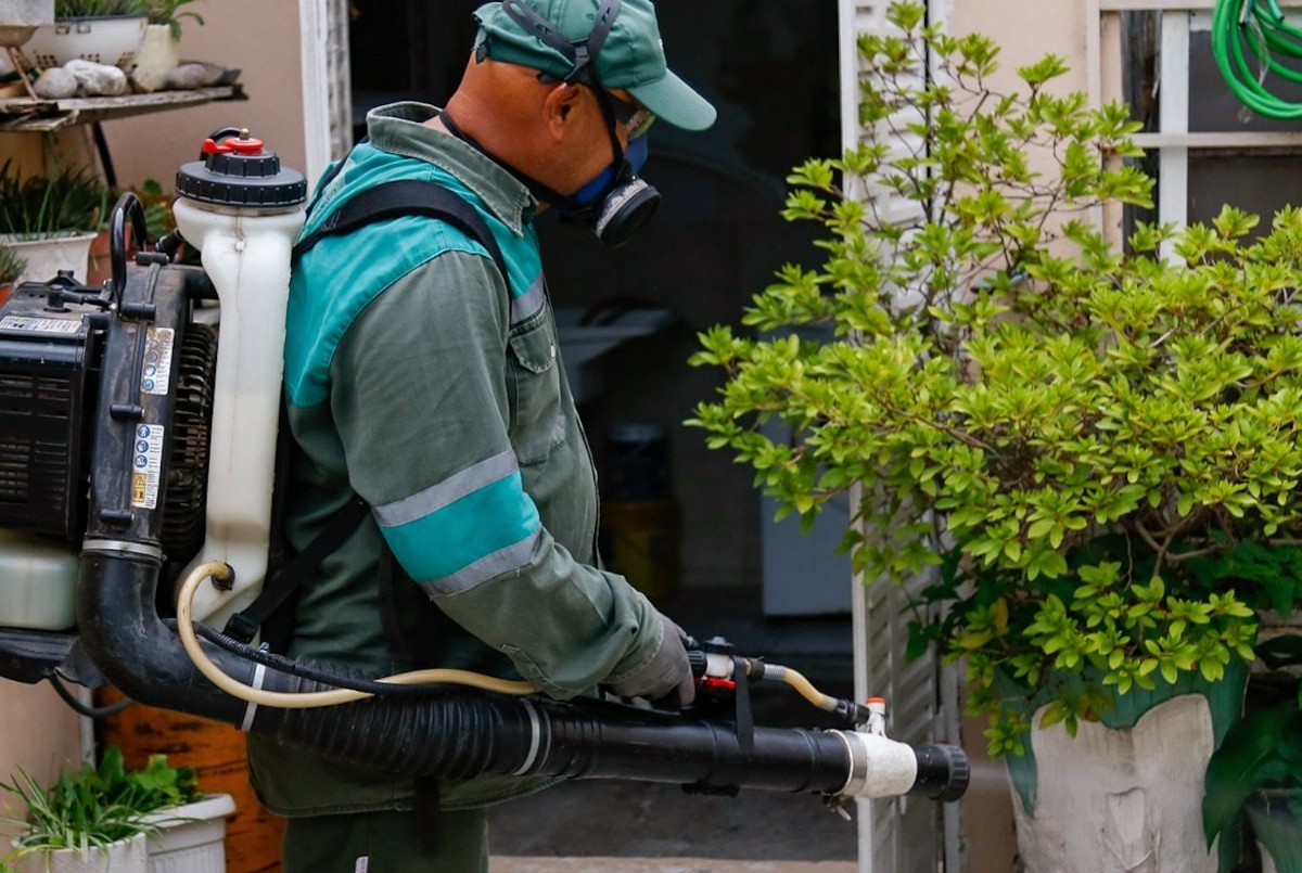 Siete barrios de Santa Fe tienen circulación viral de dengue | Información General