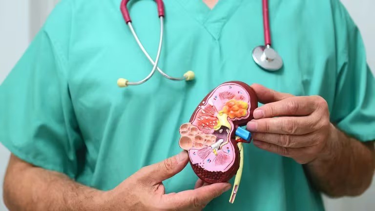 Hoy se conmemora el Día Mundial del Riñón | Salud