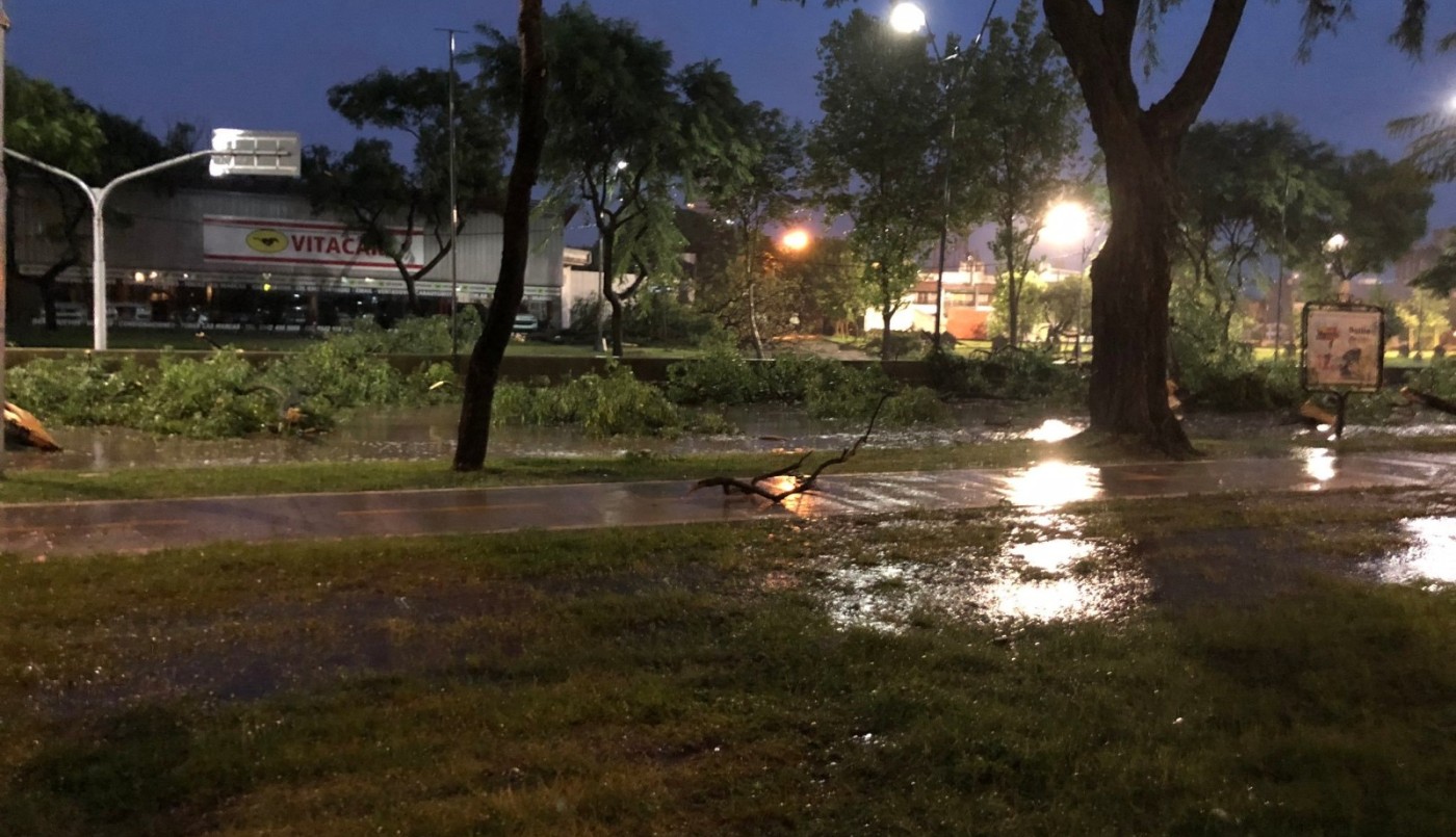 La tormenta se hizo sentir en Santa Fe y dejó árboles caídos | Información General