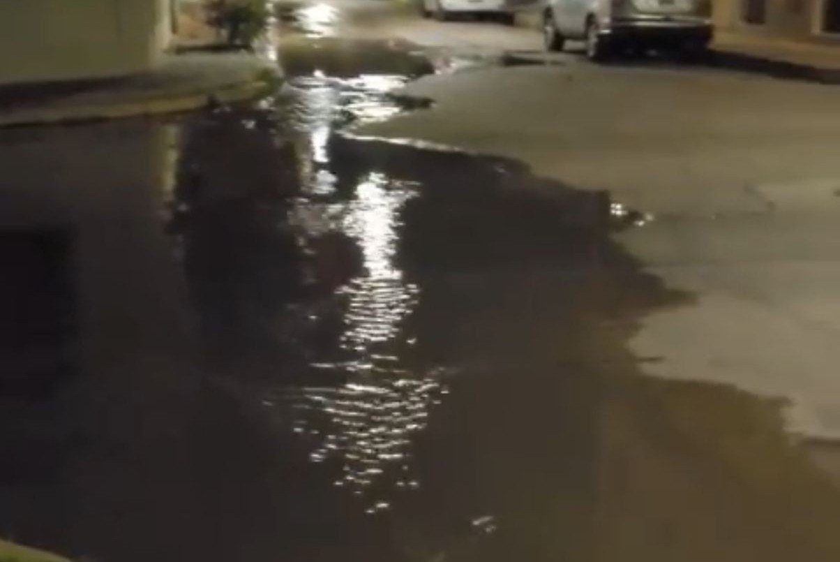 "Un mar de caca..." el reclamo de una vecina del centro de Santa Fe | Información General