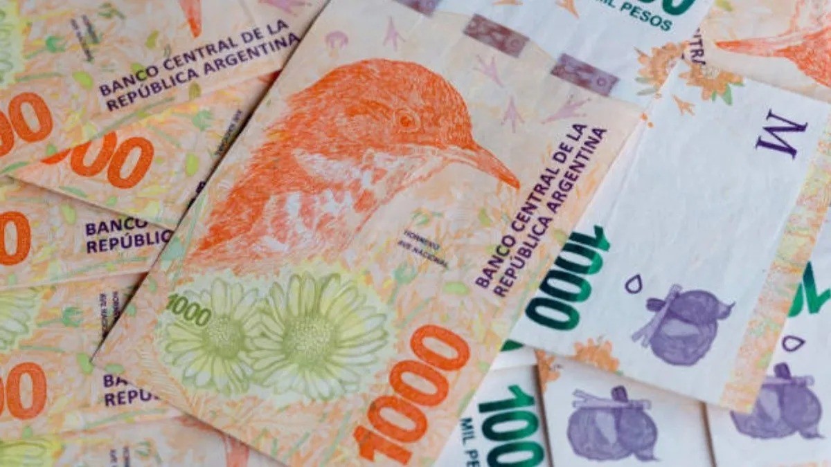 Inversiones a largo plazo: ¿Conviene un plazo fijo UVA? | Información General