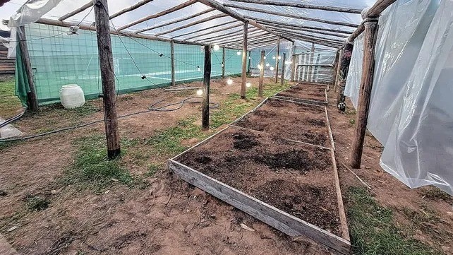 Desbaratan un "vivero" clandestino de marihuana en un barrio privado de Colastiné | Noticias