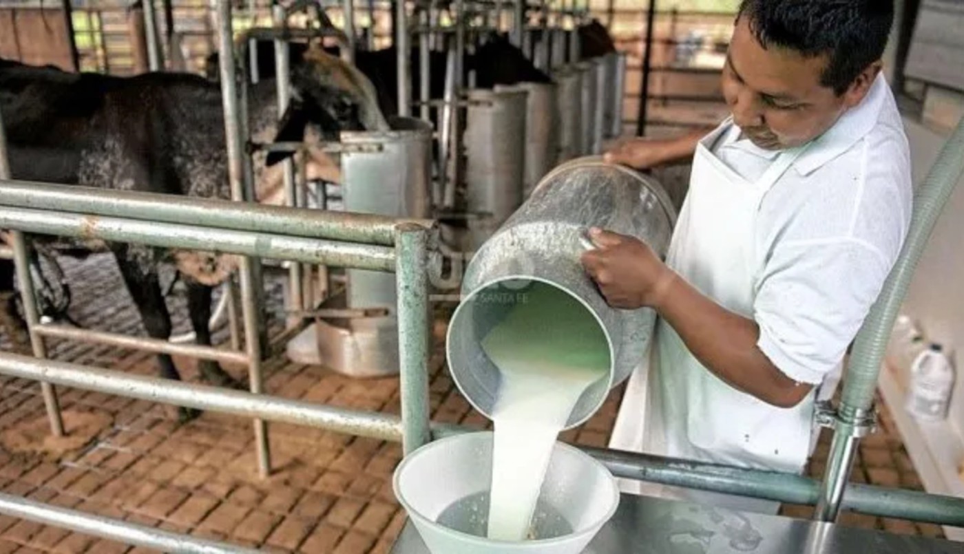 La agonía del sector lechero: falta de rentabilidad, desinformación y desidia | Noticias