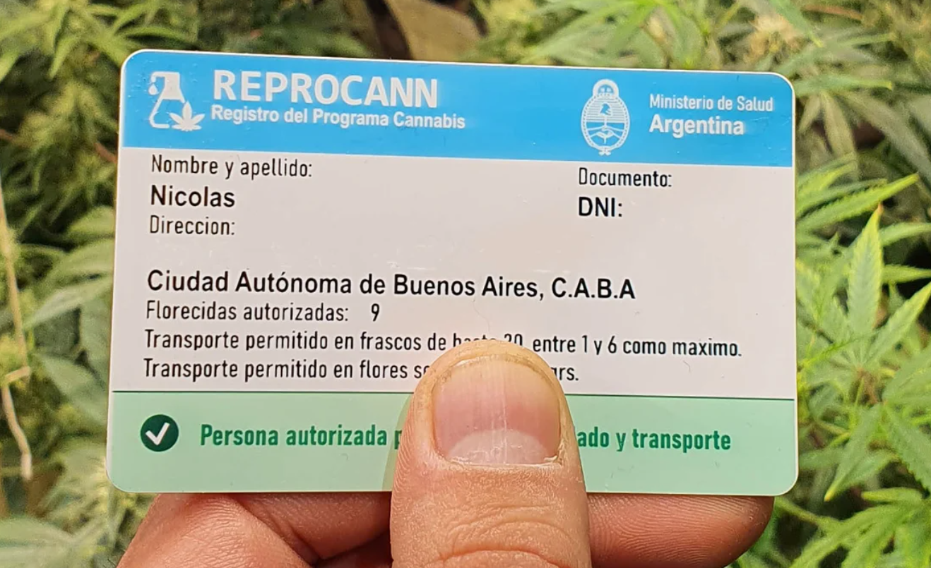 Cannabis: qué es y para qué sirve el Reprocann | Salud