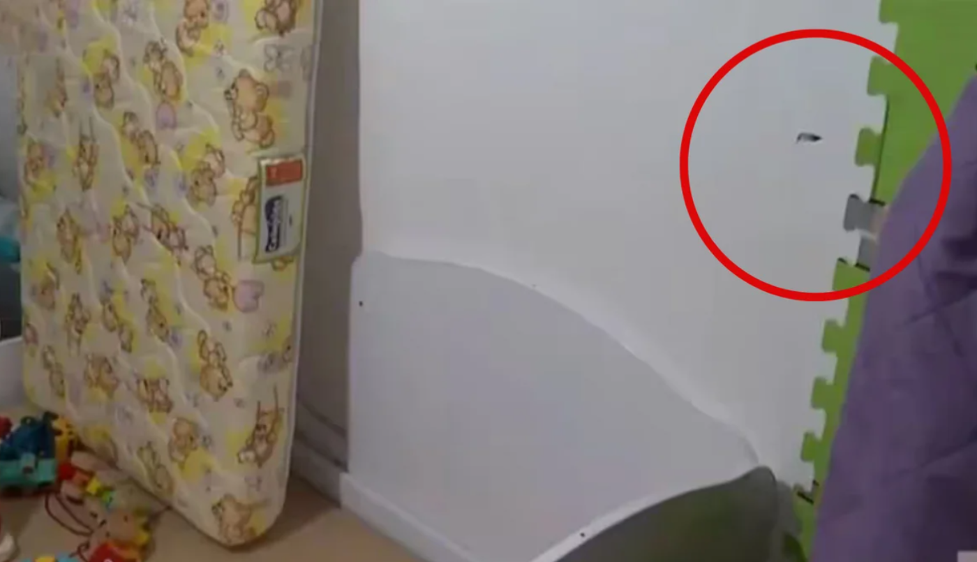 Video: una bala impactó a centímetros de donde dormía un bebé en un departamento | Información General