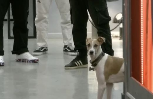 Gran Hermano: por qué Arturo deberá salir de la casa | Espectaculos