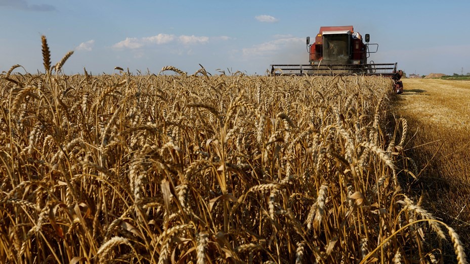 Preocupa al Gobierno la demora en vender la cosecha gruesa por parte de los productores | Noticias