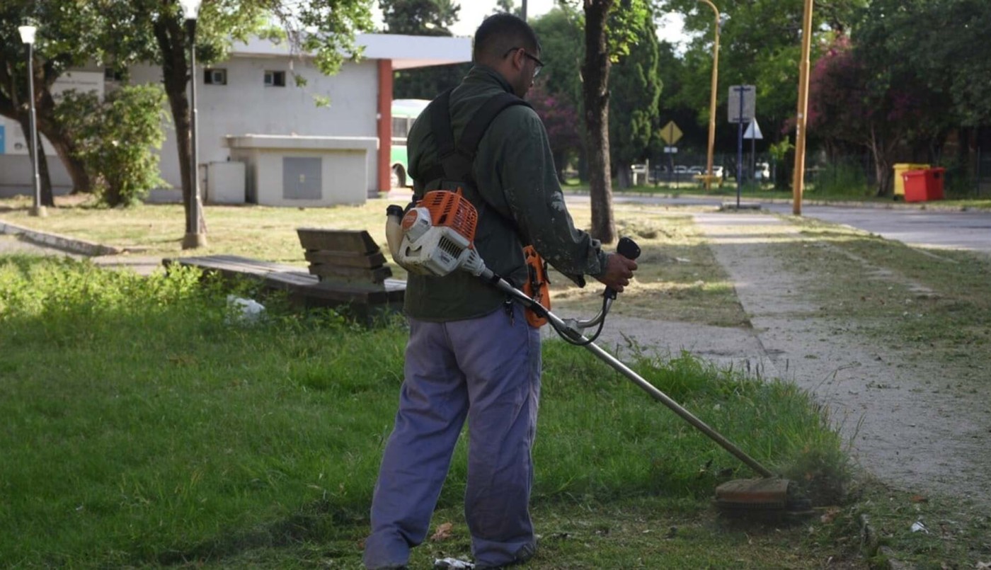 La Municipalidad informa los servicios previstos para esta semana | Información General