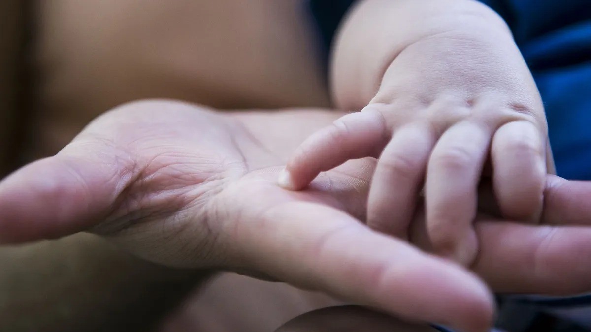 En lo que va del año, 50 nuevas familias expresaron su intención de adoptar | Información General