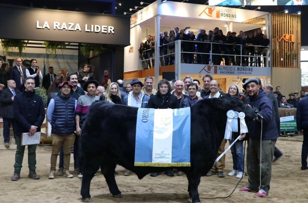 En La Rural, Milei prometió: “vamos a eliminar el impuesto país” | Nacionales