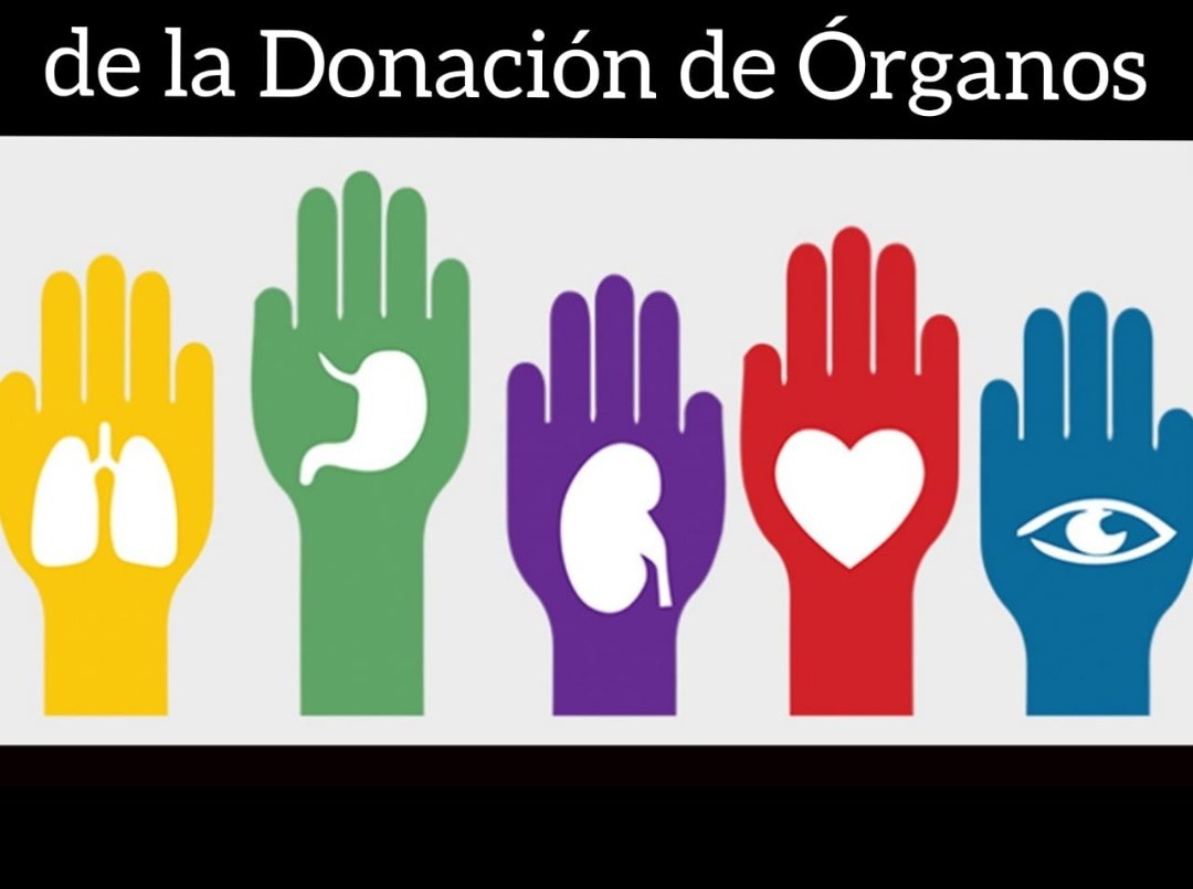 Hoy es el día de la donación de órganos en nuestro país. | Salud