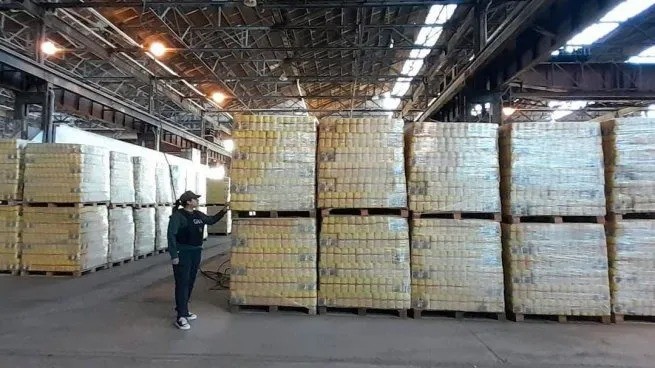 Tucumán: encuentran 2,7 toneladas de alimentos en depósito de Capital Humano | Nacionales