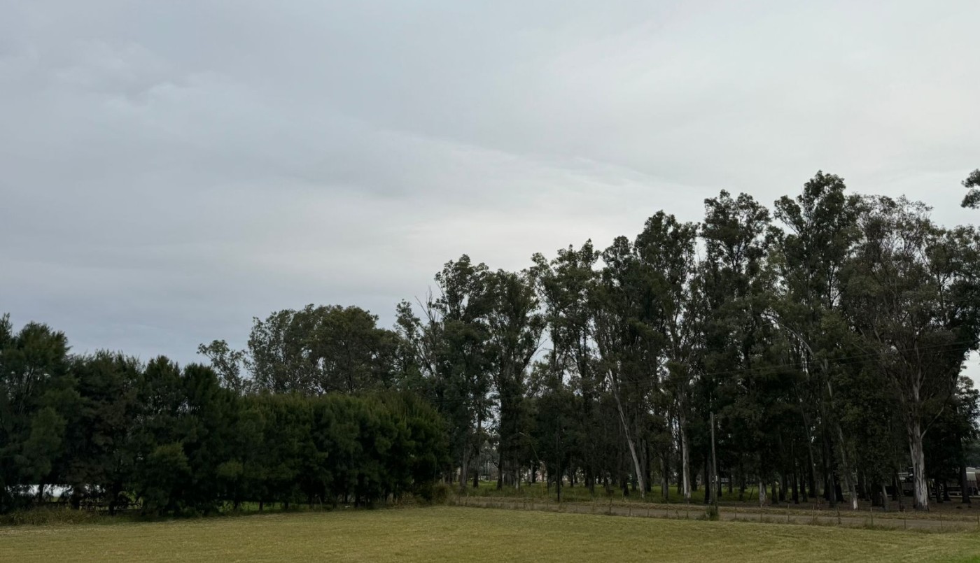 Calor, frío, calor: Mirá lo que pasará con el tiempo en Santa Fe | Información General