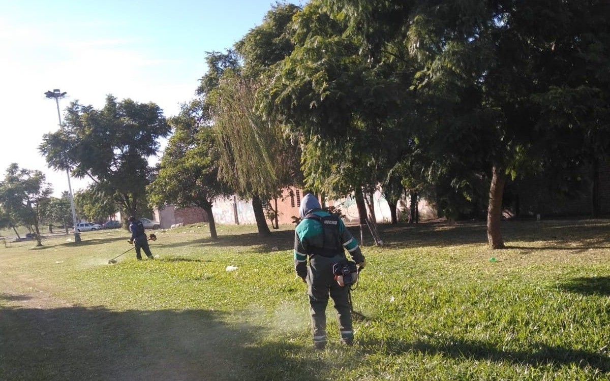 La agenda de servicios municipales para esta semana | Información General