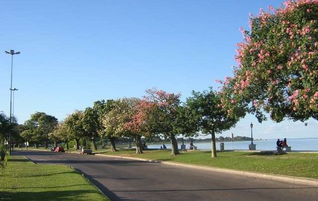 Cielo despejado en el comienzo de semana | Información General