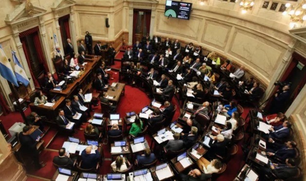 El Senado inició el debate de la ley de Bases y el paquete fiscal | Nacionales