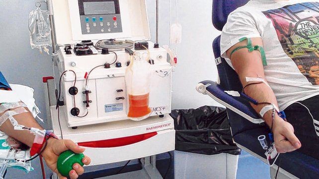14 de junio: Día Mundial del Donante de Sangre | Salud