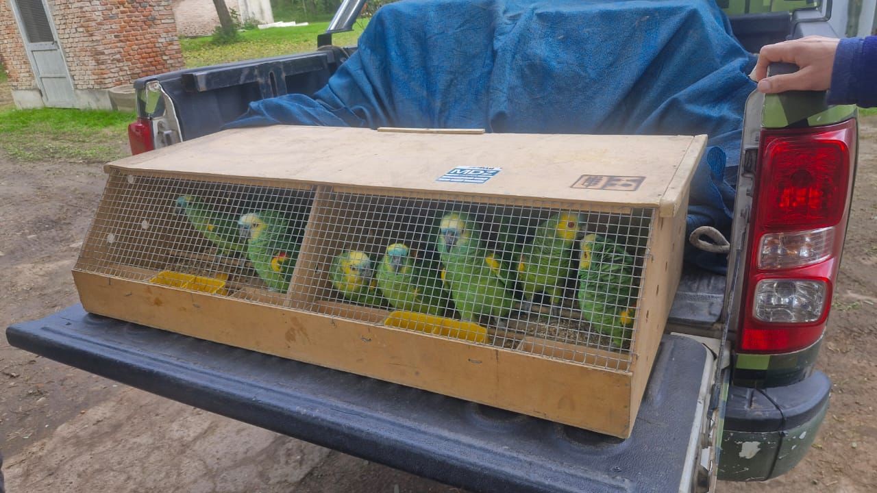 Santa Fe y Mendoza trabajan coordinadamente en la reinserción de animales | Información General