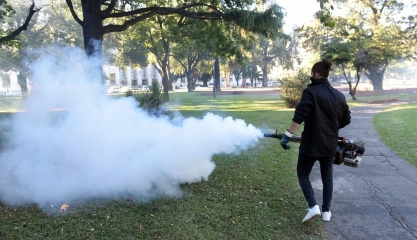 Dengue en Santa Fe: intensifican las acciones de bloqueo y prevención | Noticias