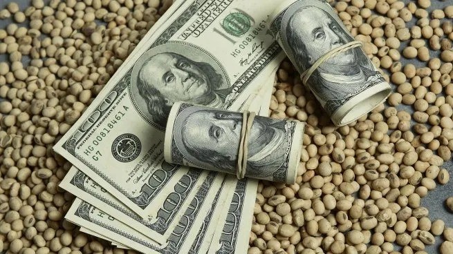 Agrodólares: la liquidación de junio fue la segunda más baja en cinco años | Nacionales