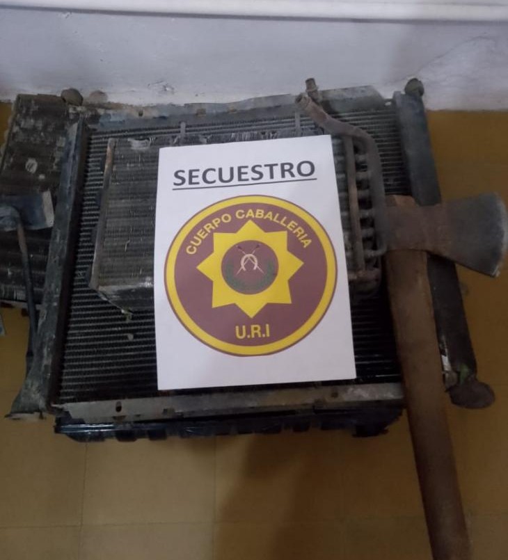 Detuvieron a un ladrón con un hacha y partes de radiadores | Noticias