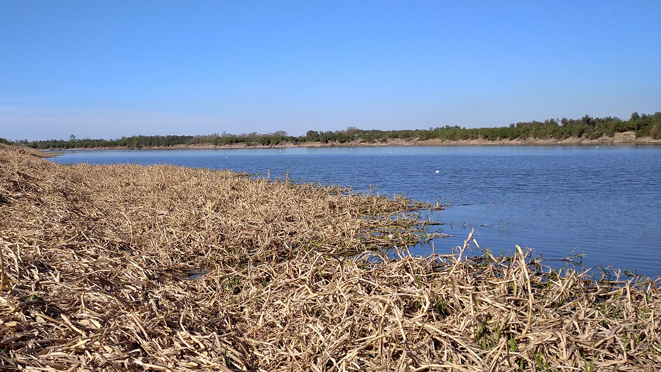 Sauce Viejo: un hombre murió ahogado tras intentar recuperar una piragua | Información General
