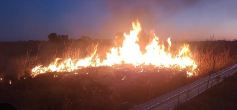 Imágenes: se incendiaron pastizales en la Circunvalación Oeste y autopista Santa Fe – Rosario | Noticias