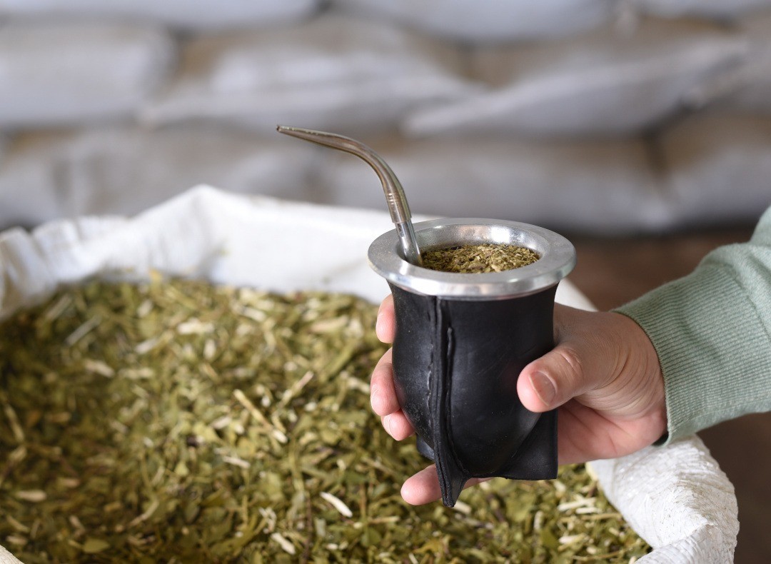 El precio de la yerba mate se incrementó 35% en dos meses | Información General